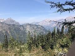 Maple Heather Trail, WA